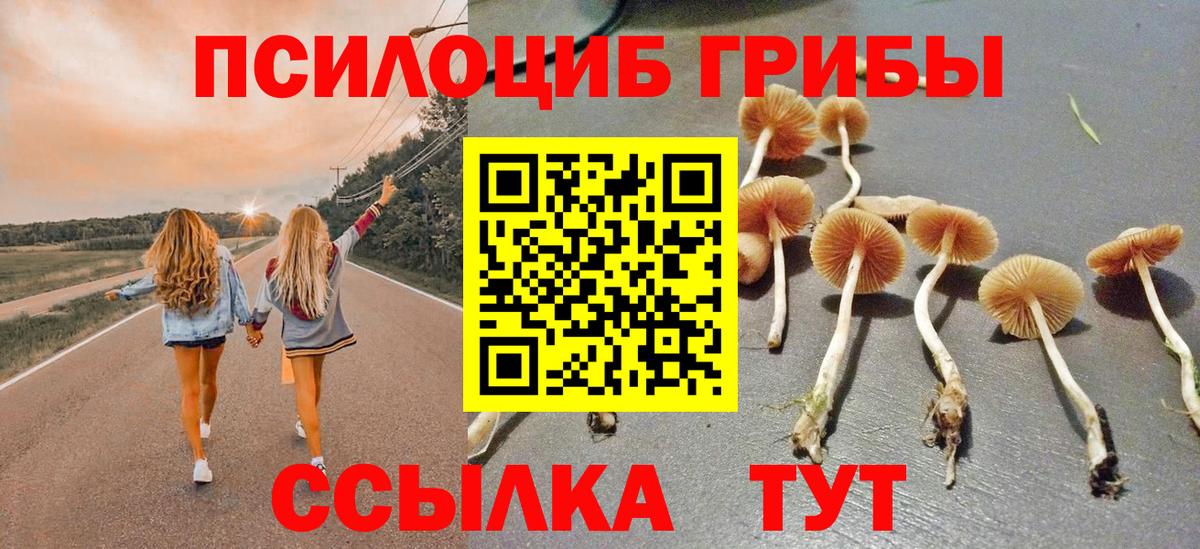 Галлюциногенные грибы GOLDEN TEACHER Старый Оскол